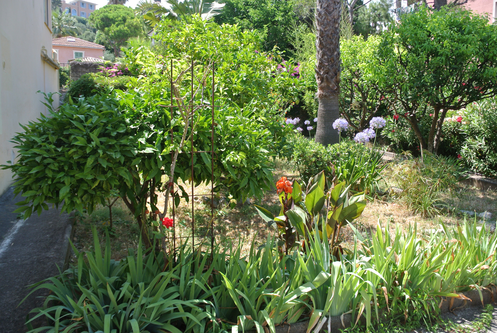 Image_3, Villa, Saint-Jean-Cap-Ferrat, ref :1408