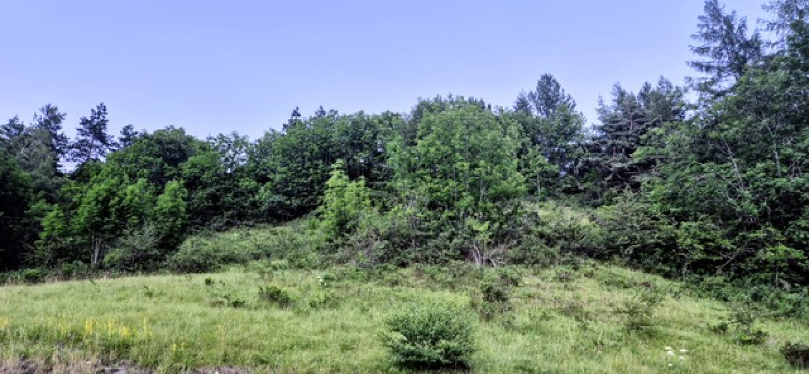Image_11, Terrain, Allos, ref :1440